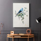 Bluebird Happy I - Canvas Art Print