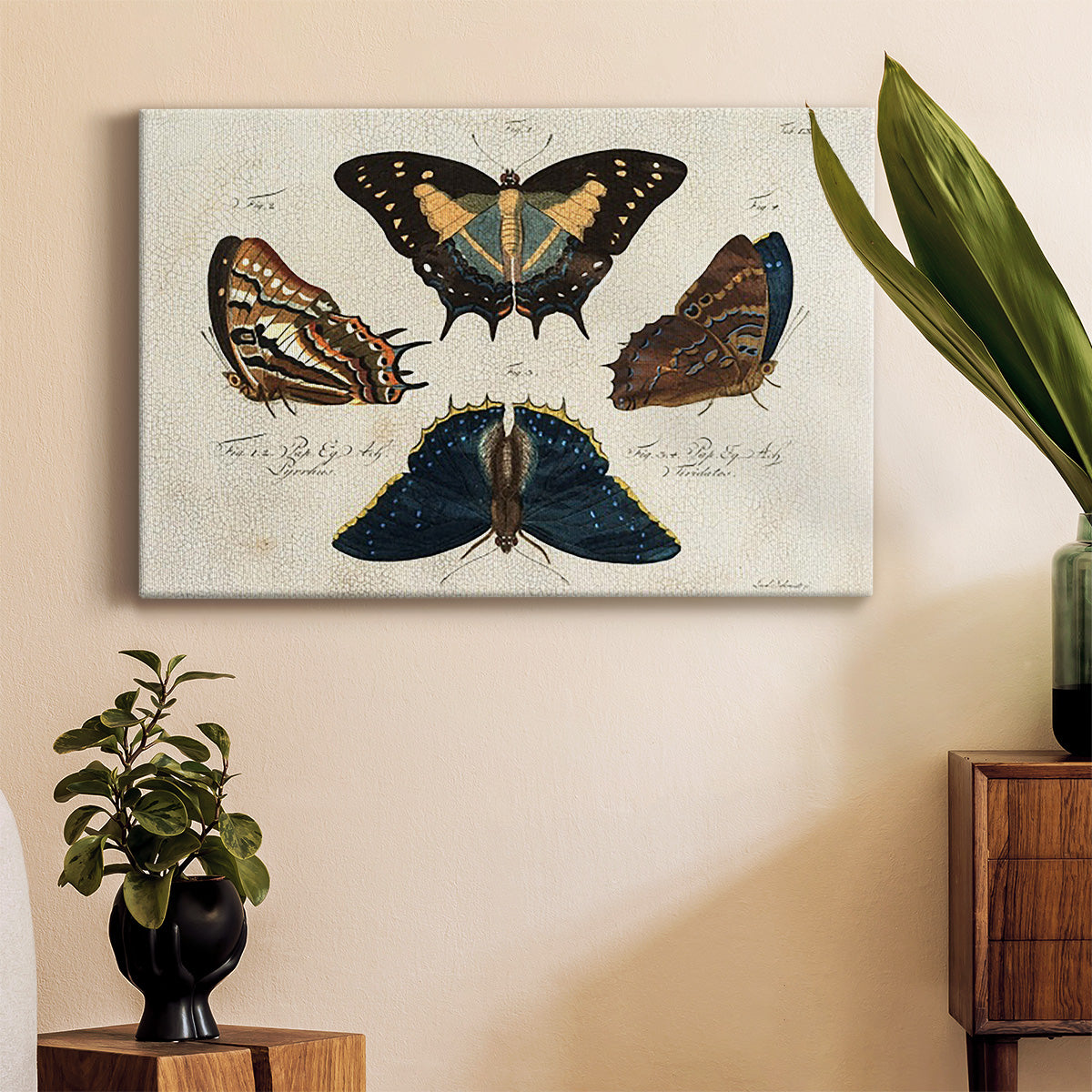 Crackled Butterflies IV - Canvas Art Print