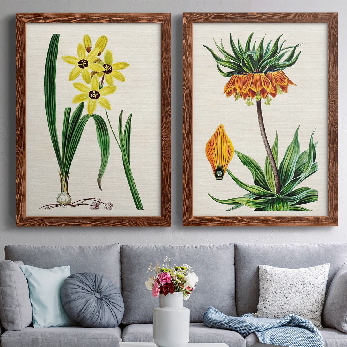 Set of two maple barnwood framed canvas prints depicting paired antique botanical plate illustrations with detailed blossoms, leaves, roots, and archival cream grounds above a sofa in a contemporary living room.