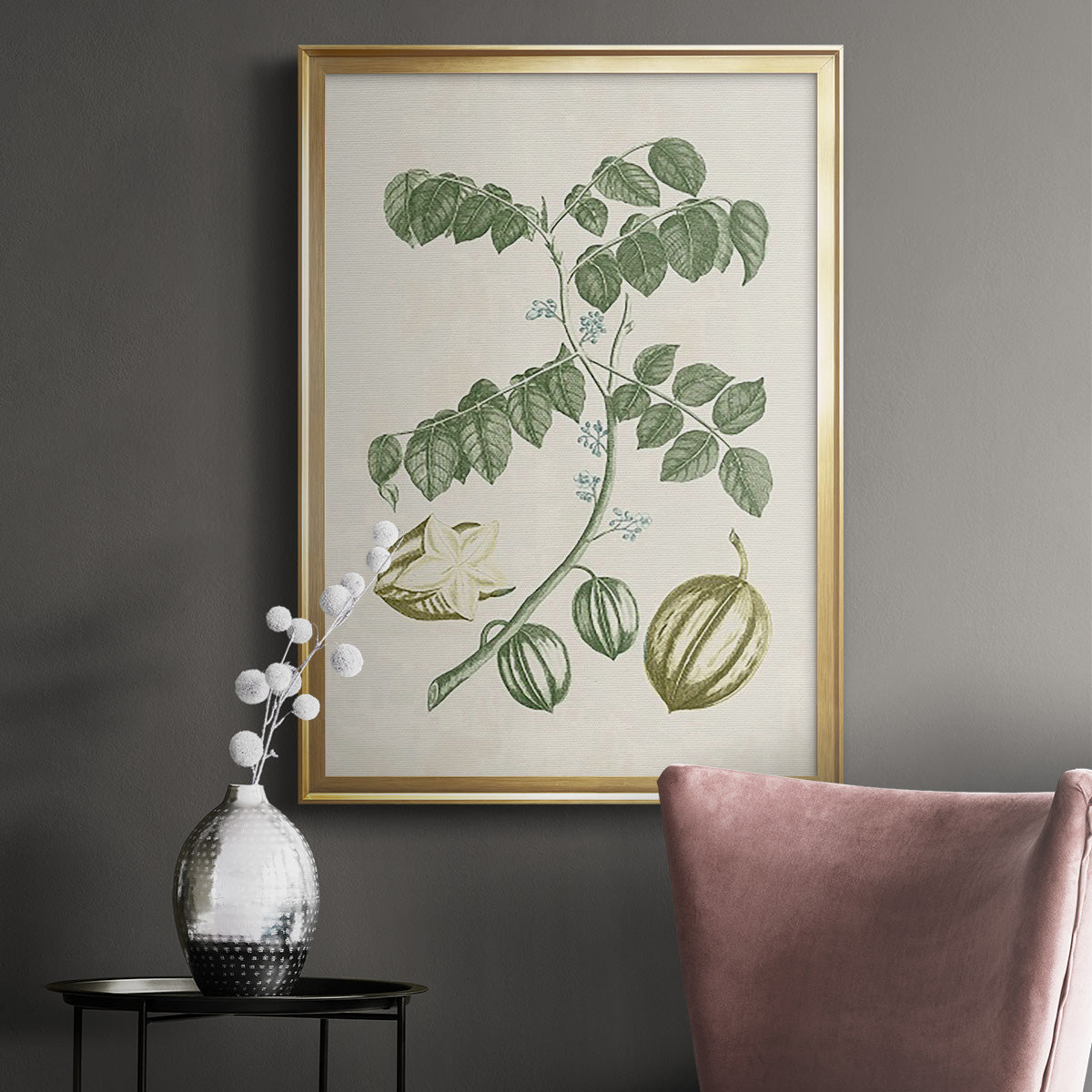 Buchoz Tropicals II - Modern Framed Canvas Print