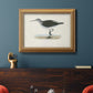 Morris Sandpipers VI Premium Framed Canvas- Ready to Hang