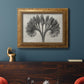 Vintage botanical plant study photograph by Karl Blossfeldt in an ornate vintage gold frame displayed in a dark-toned interior setting.