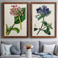 Antique Floral Folio III - Premium Framed Canvas 2 Piece Set - Ready to Hang