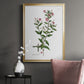 Rose Botanical III - Modern Framed Canvas Print