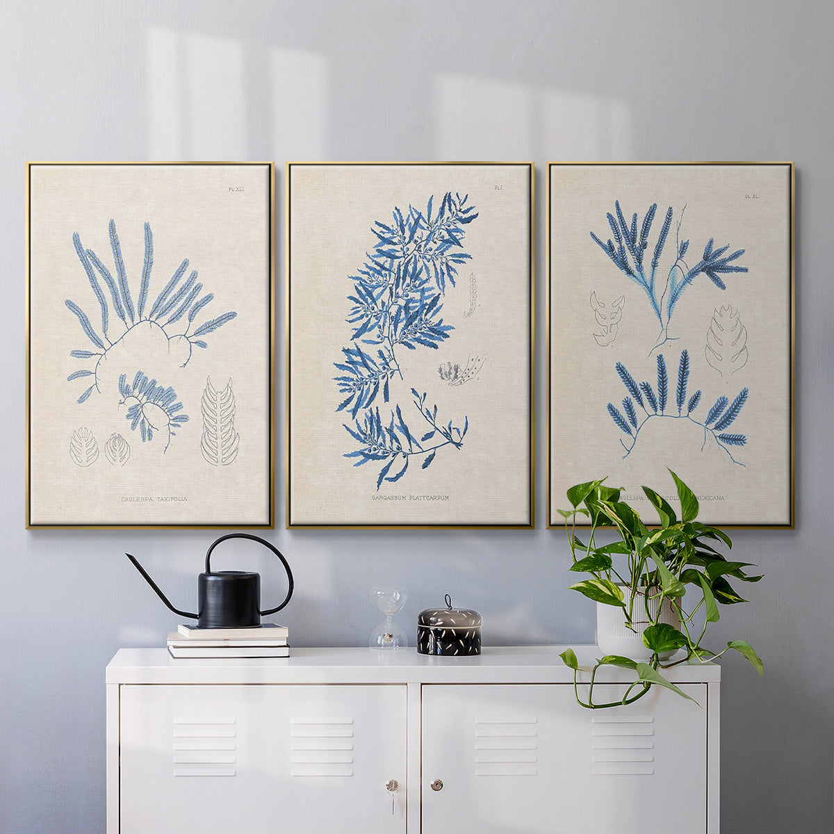 Blue Marine Algae I - Framed Premium Gallery Wrapped Canvas L Frame 3 Piece Set - Ready to Hang