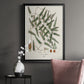 Botanical Society Ferns X - Modern Framed Canvas Print