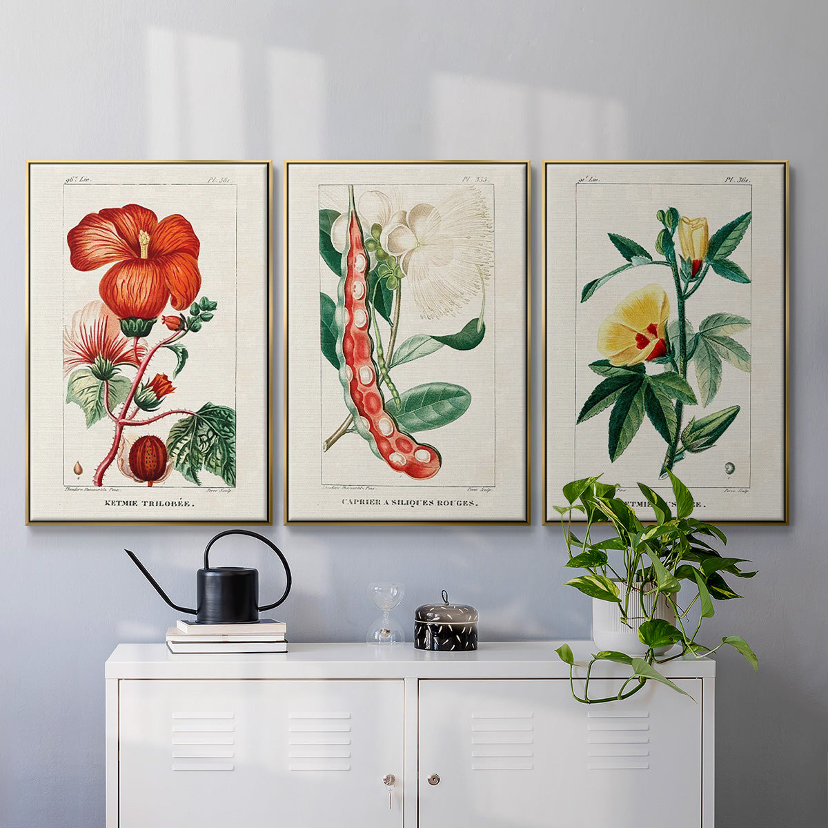 Turpin Tropical Botanicals VI - Framed Premium Gallery Wrapped Canvas L Frame 3 Piece Set - Ready to Hang