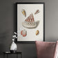 Pastel Knorr Shells VII - Modern Framed Canvas Print
