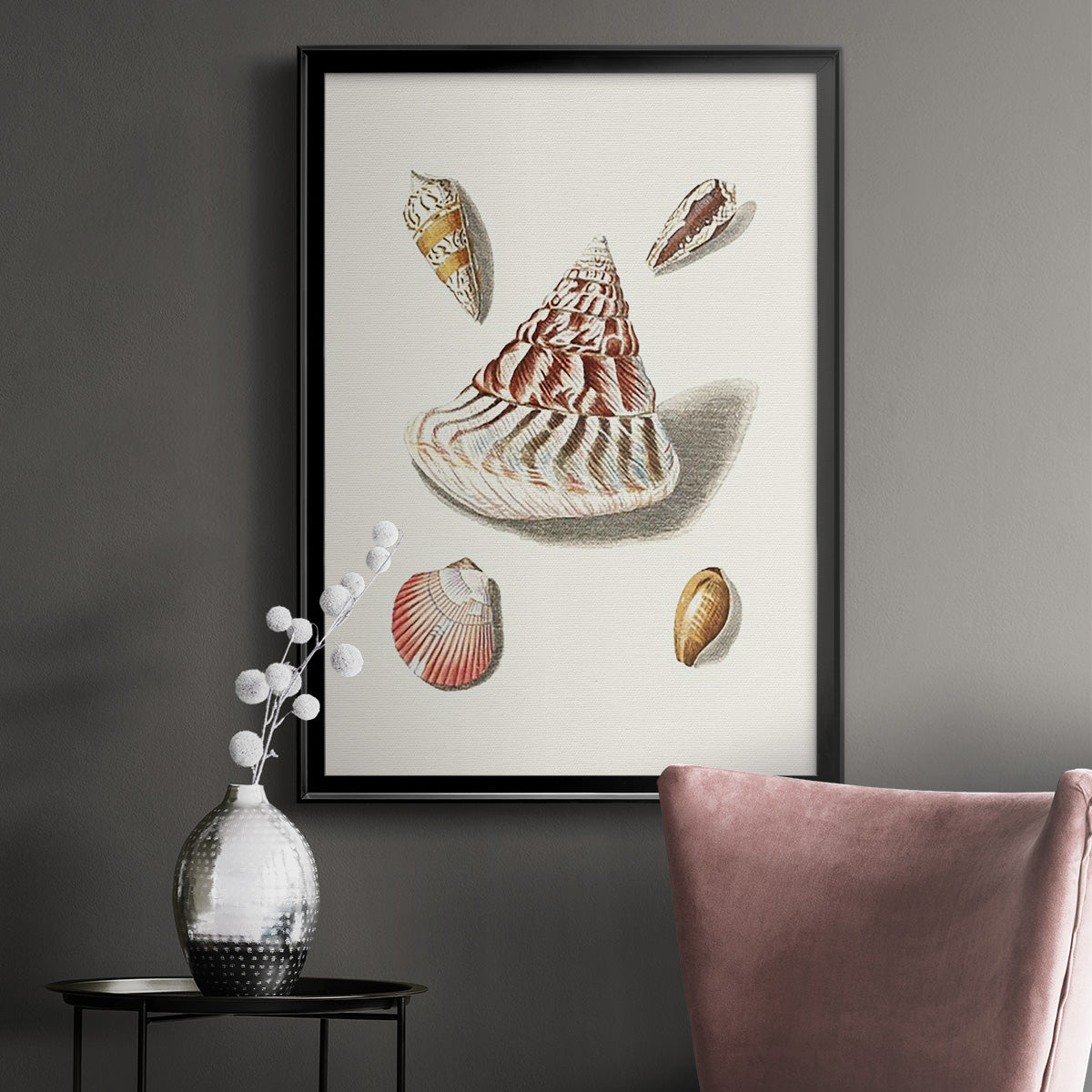 Pastel Knorr Shells VII - Modern Framed Canvas Print