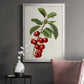 Antique Fruit II - Modern Framed Canvas Print