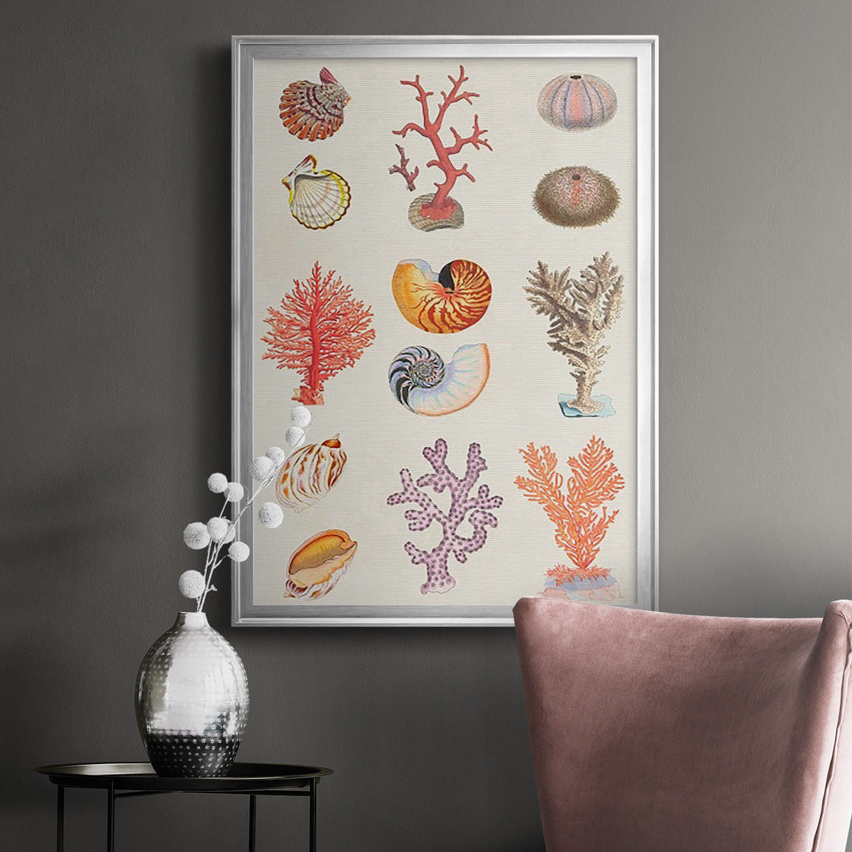 Coral & Shell Collage I -  Framed Canvas Print