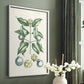 Buchoz Tropicals VII - Restickable Framed Art Print