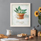 Potted Sage - Premium Canvas Framed in Barnwood - Ready to Hang