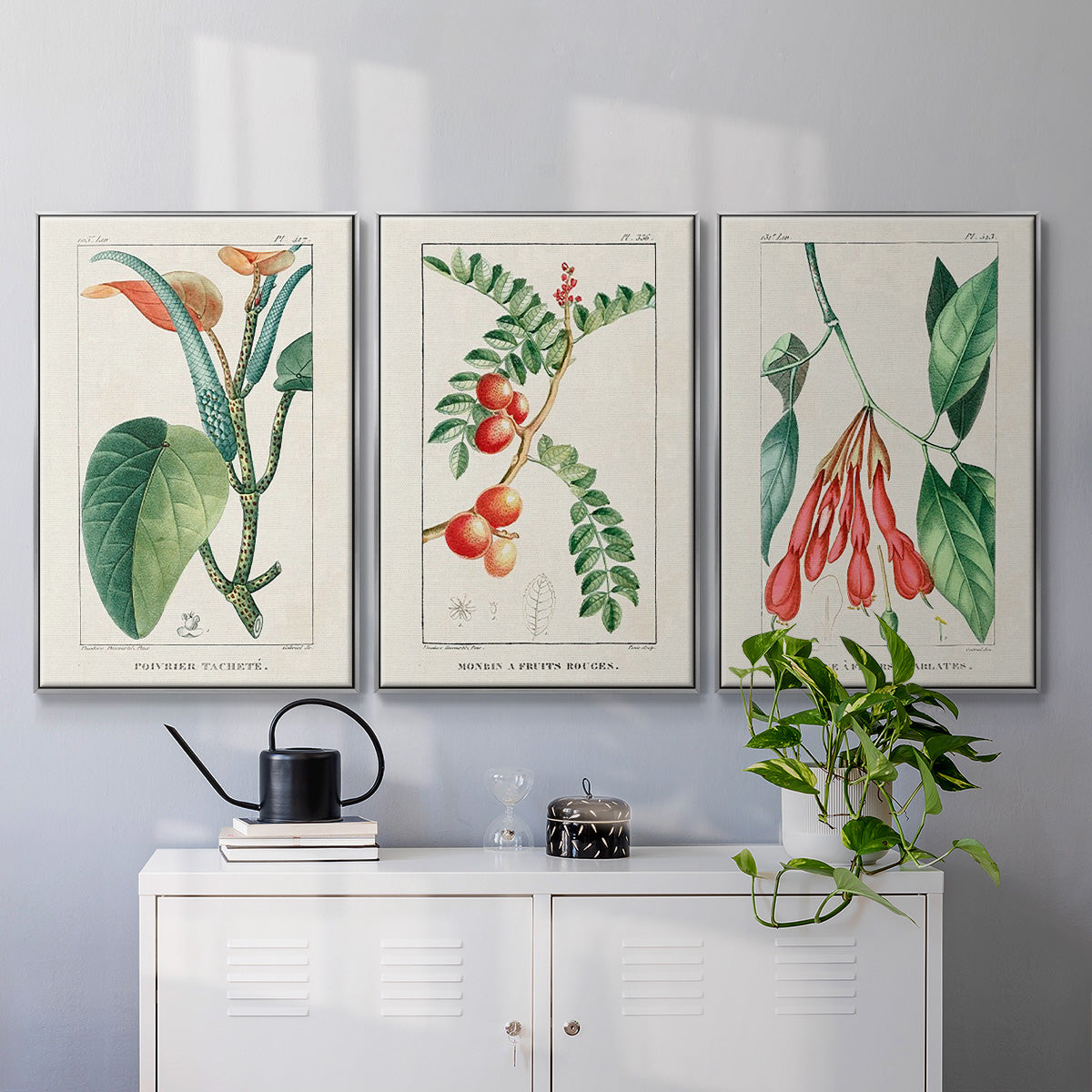 Turpin Tropical Botanicals I - Floater Framed Canvas Set