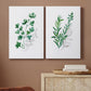 Freshly Picked I Premium Gallery Wrapped Canvas - Ready to Hang - Set of 2 - 8 x 12 Each