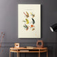 Bass Flies I - Canvas Art Print