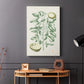 Buchoz Tropicals III - Canvas Art Print
