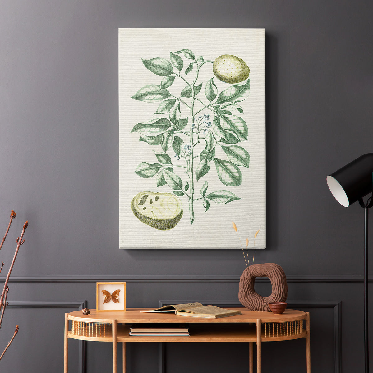 Buchoz Tropicals III - Canvas Art Print