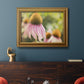 Echinacea Study II Premium Framed Canvas- Ready to Hang