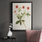 Flowers of the Seasons VIII - Modern Framed Canvas Print