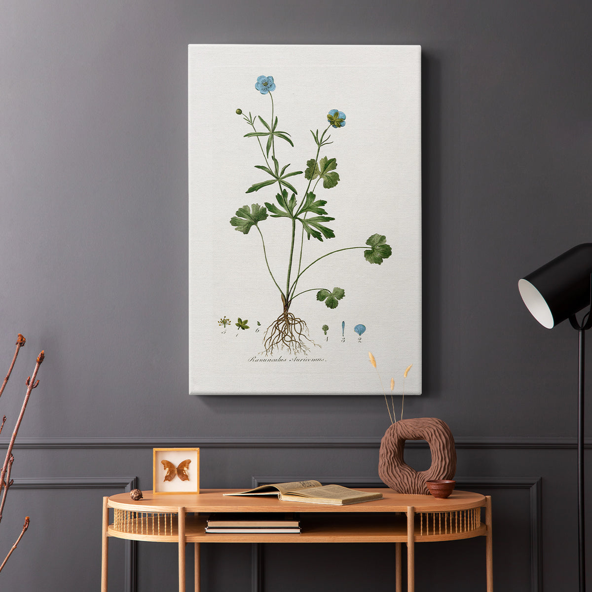 Buttercup Study - Canvas Art Print