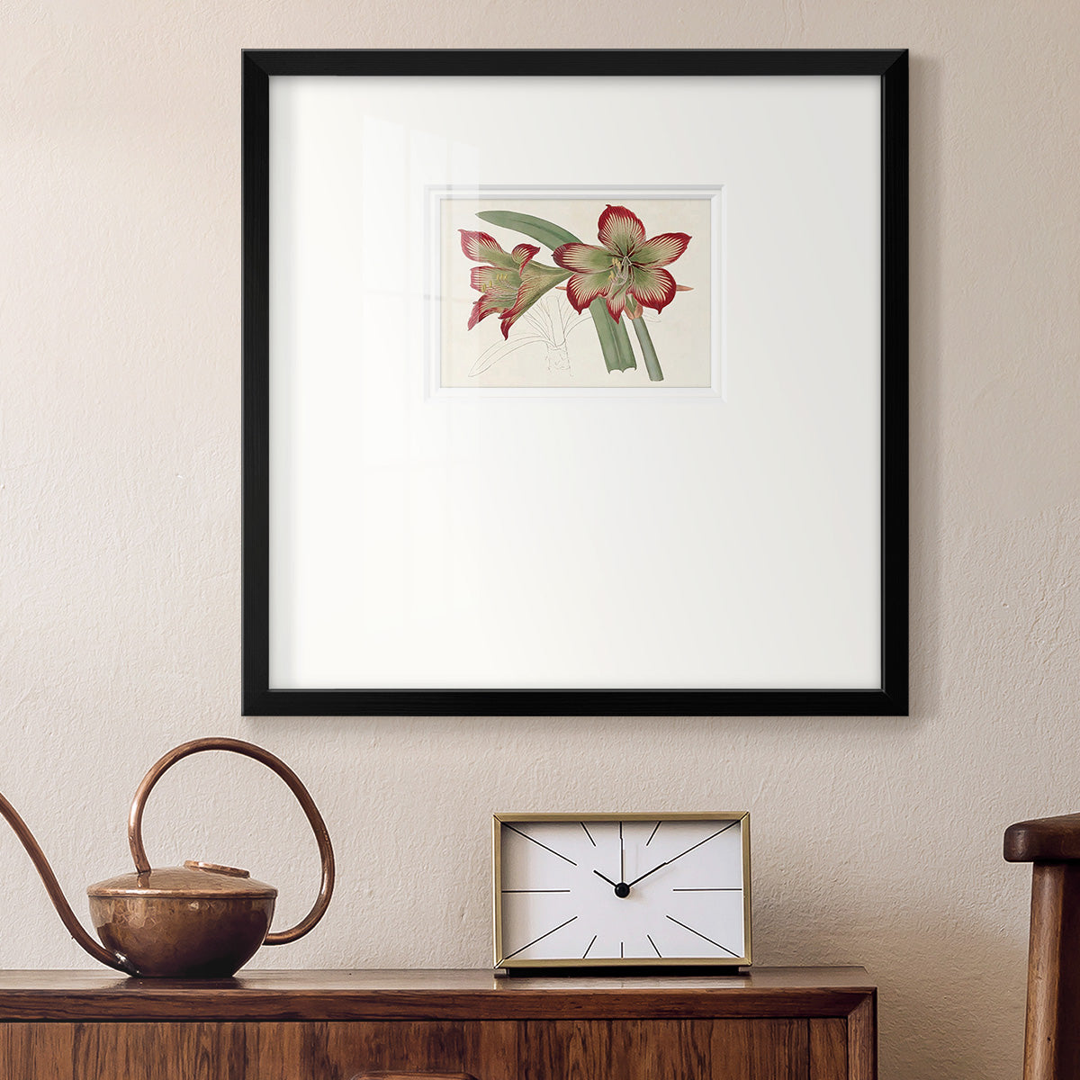 Amaryllis Varietals IV Premium Framed Print Double Matboard