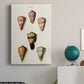 Cone Shell Collection IV Premium Gallery Wrapped Canvas - Ready to Hang