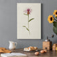 Mauve Garden Flowers VI Premium Gallery Wrapped Canvas - Ready to Hang