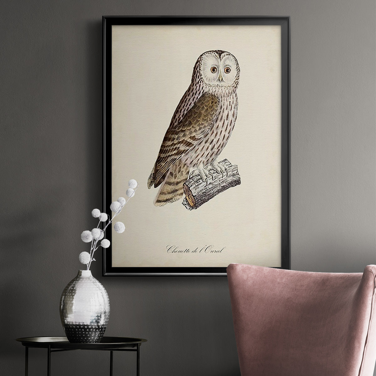 French Owls V - Modern Framed Canvas Print