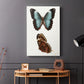 Antique Blue Butterflies IV - Canvas Art Print