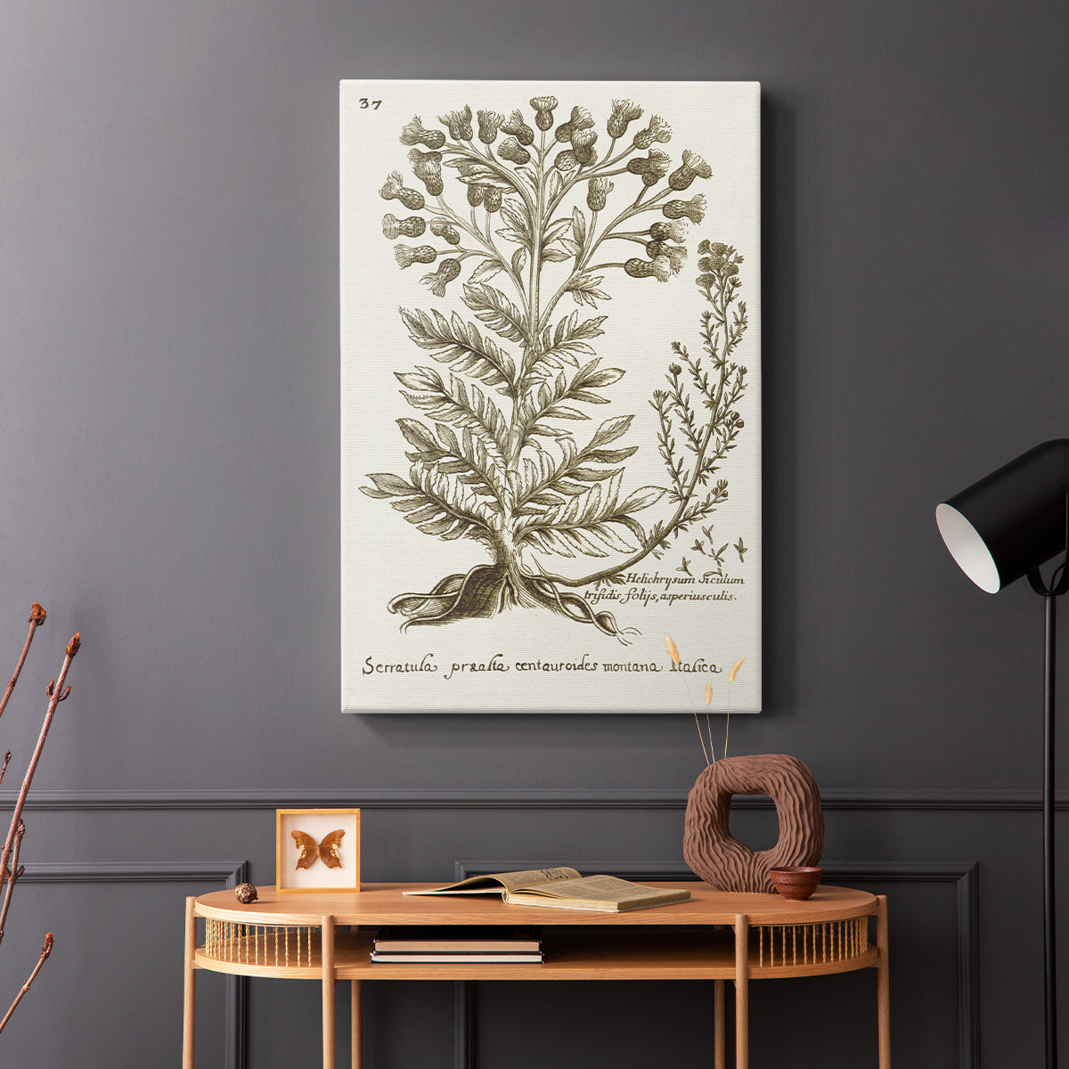 Sepia Botanical Journal I - Canvas Art Print