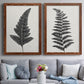 Forest Fern I - Premium Framed Canvas 2 Piece Set - Ready to Hang