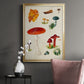 Mushroom Species VIII - Modern Framed Canvas Print