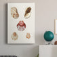 Pastel Knorr Shells V - Canvas Art Print