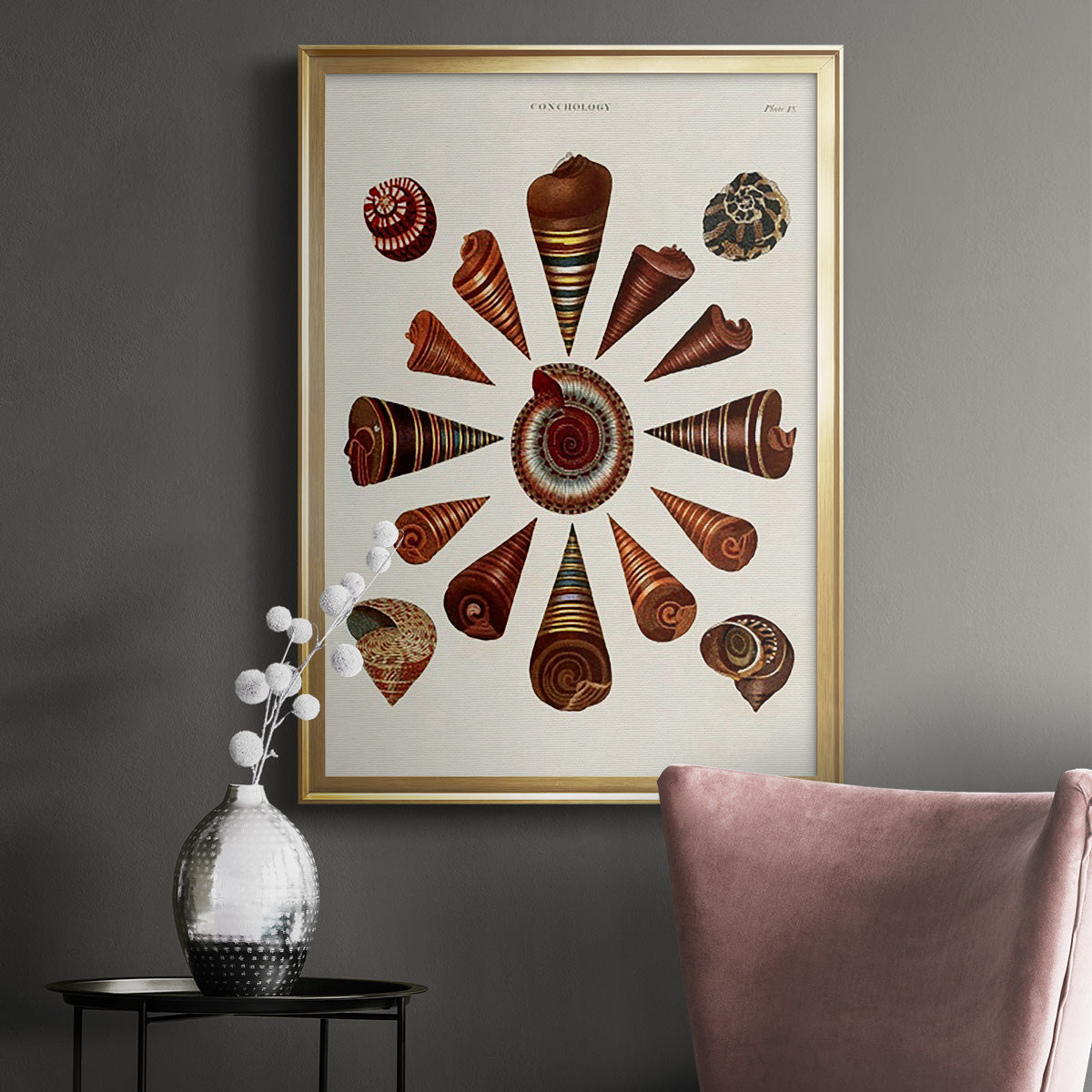 Spiral Shell Formation IV - Modern Framed Canvas Print