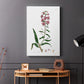 Rose Botanical I - Canvas Art Print