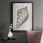 Ocean Cone I - Modern Framed Canvas Print