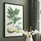 Buchoz Tropicals IV - Restickable Framed Art Print