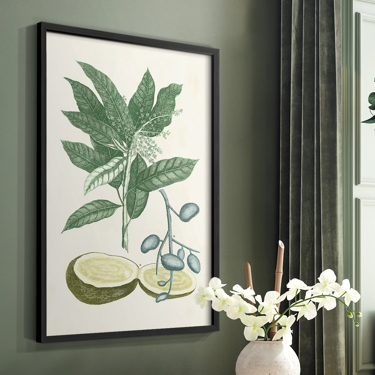 Buchoz Tropicals IV - Restickable Framed Art Print