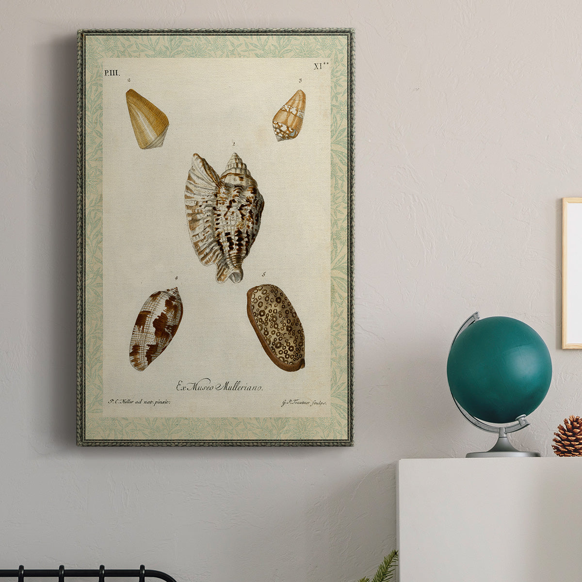 Bookplate Shells II Premium Gallery Wrapped Canvas - Ready to Hang