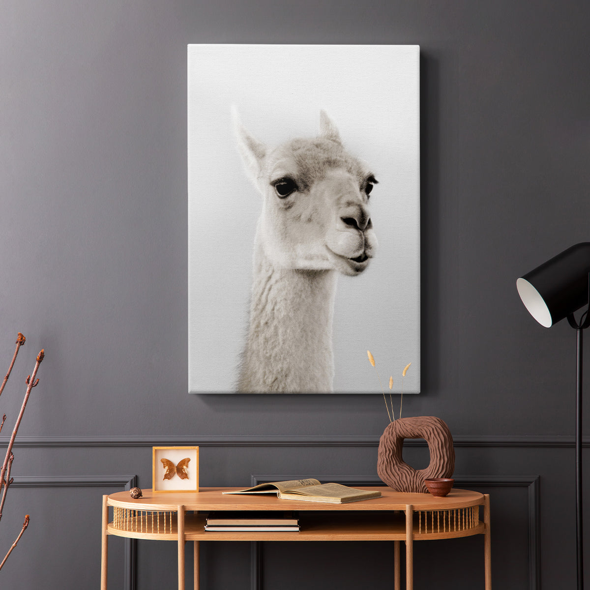 Soft Llama - Canvas Art Print