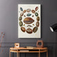 Spiral Shell Formation II - Canvas Art Print