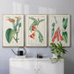 Turpin Tropical Botanicals I - Floater Framed Canvas Set