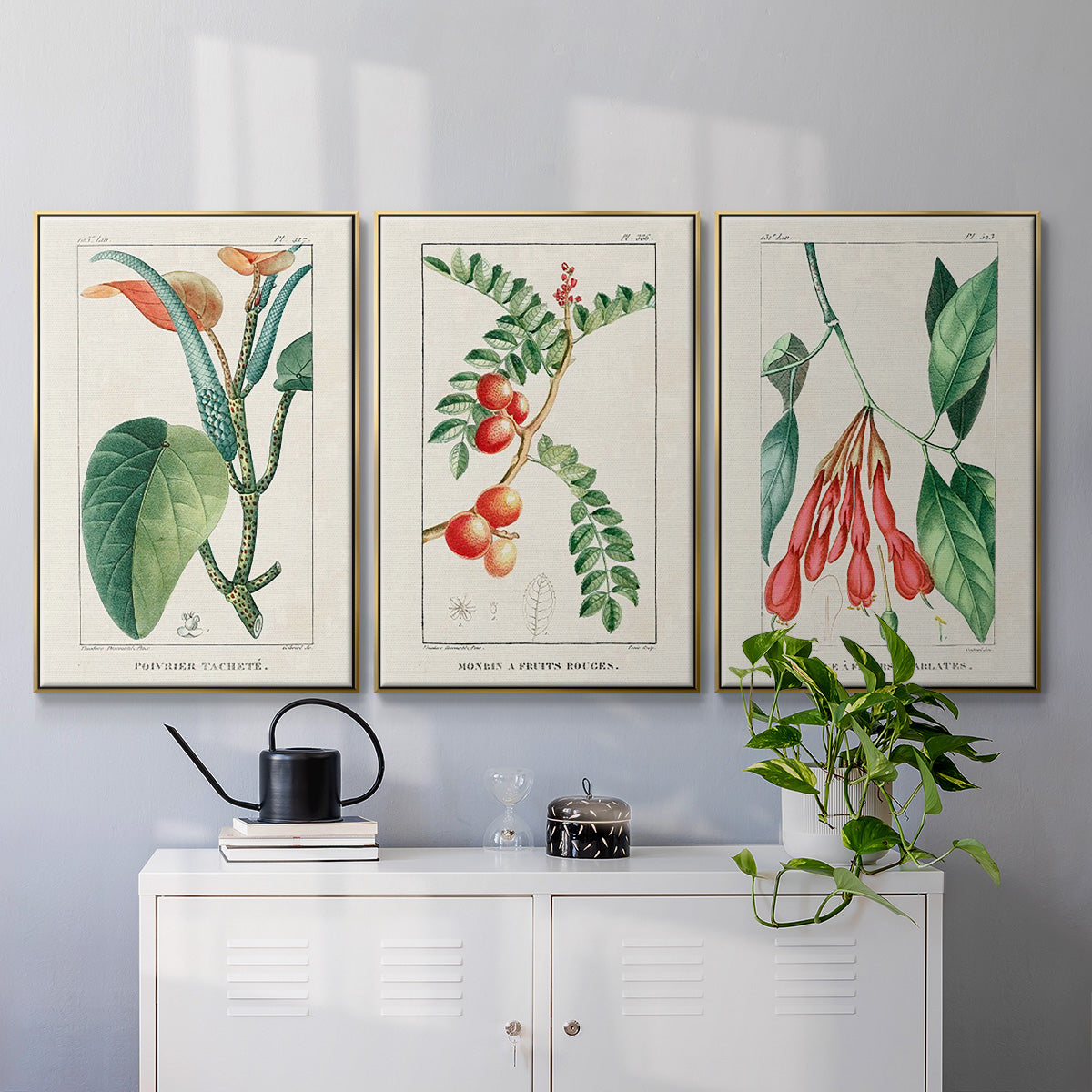 Turpin Tropical Botanicals I - Floater Framed Canvas Set