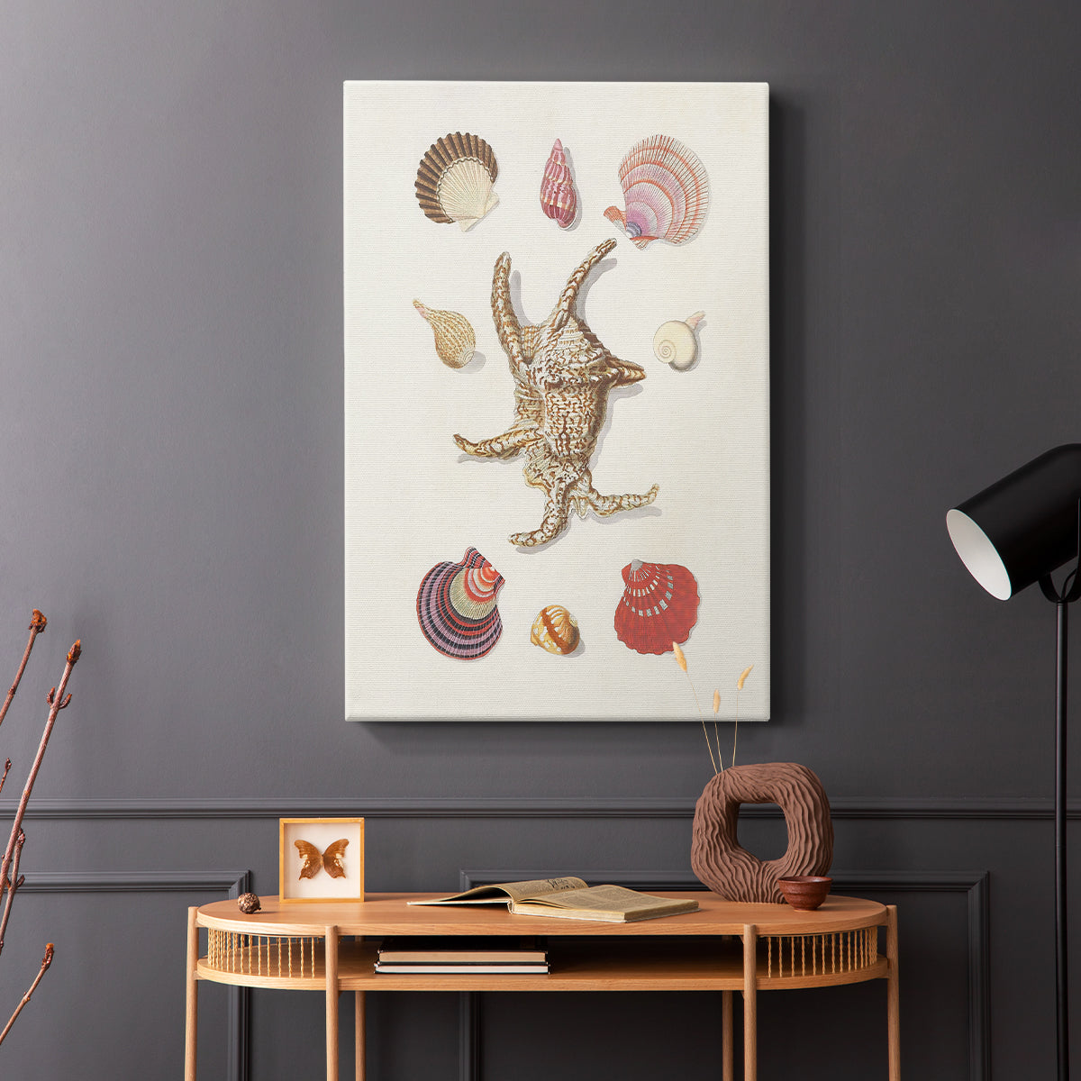 Knorr Shells & Coral II - Canvas Art Print