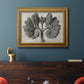 Blossfeldt Botanical VIII Premium Framed Canvas- Ready to Hang