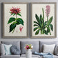 Set of two gray barnwood framed canvas prints depicting paired antique botanical plate illustrations with detailed blossoms, leaves, roots, and archival cream grounds above a sofa in a contemporary living room.