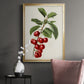 Antique Fruit II - Modern Framed Canvas Print