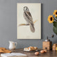 Canada Owl Premium Gallery Wrapped Canvas - Ready to Hang