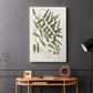 Botanical Society Ferns X - Canvas Art Print